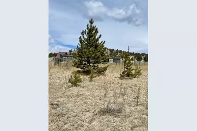 57 Fish Creek, Florissant, CO 80816 - Photo 1