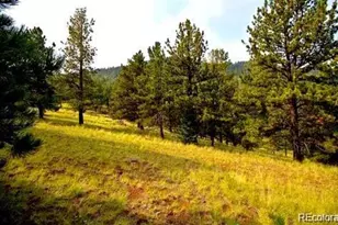 111 Isabel Claim, Cripple Creek, CO 80813 - Photo 1