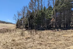 2056 Forbes Park Rd, Fort Garland, CO 81133 - Photo 1