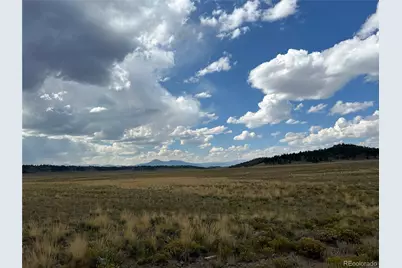 10055 County Road 53, Hartsel, CO 80449 - Photo 1