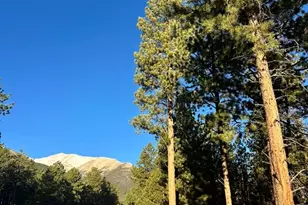 16703 Pine Grove Pkwy, Buena Vista, CO 81211 - Photo 1