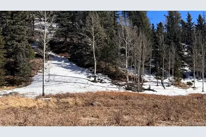 506 Arrowhead Road, Florissant, CO 80816 - Photo 1