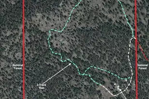 1667 Co Rd 835, Bailey, CO 80421 - Photo 1