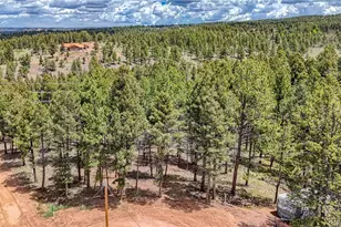 28 Deer Cir, Florissant, CO 80816 - Photo 1