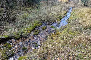 48 Acres Forbes Rd, Fort Garland, CO 81133 - Photo 1