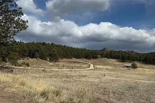 266 Good Hope Dr, Westcliffe, CO 81252 - Photo 1