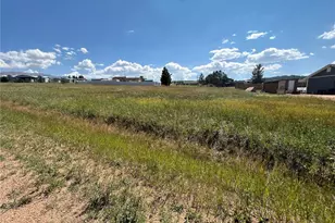 Golden Grain Ln, Divide, CO 80814 - Photo 1