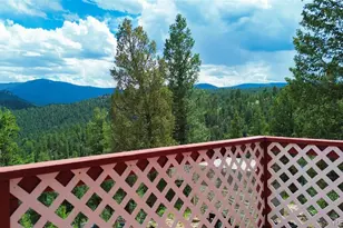 64 Zip Ln, Bailey, CO 80421 - Photo 1