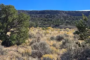 Parcel 10 Cavalry Trail, San Luis, CO 81152 - Photo 1