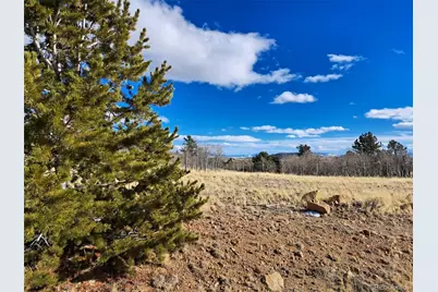 560 Raven Way, Como, CO 80432 - Photo 1