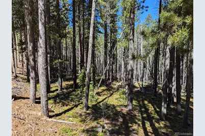 3412 Drexler Place, Fort Garland, CO 81133 - Photo 1