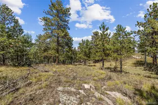 000 Mockingbird Trail, Bailey, CO 80421 - Photo 1