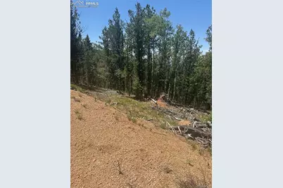 110 Brown Bear Lane, Cripple Creek, CO 80813 - Photo 1