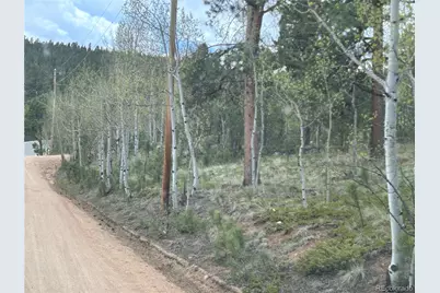 139 Obrien Road, Bailey, CO 80421 - Photo 1