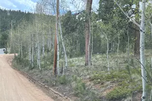 139 O'Brien Rd, Bailey, CO 80421 - Photo 1