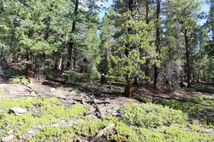 740 Rangeview Ct, Black Hawk, CO 80422 - Photo 1