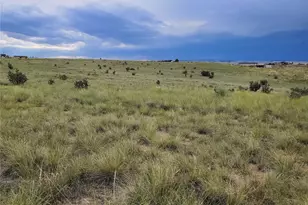 6475 Paleface Point, Fountain, CO 80817 - Photo 1