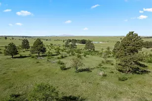 4625 Co Rd 124, Elizabeth, CO 80107 - Photo 1