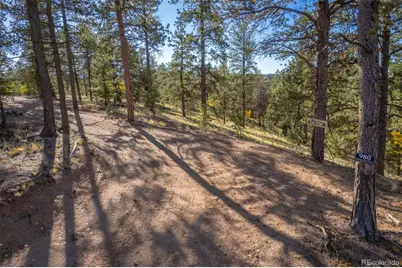 980 Spring Creek Drive, Divide, CO 80814 - Photo 1