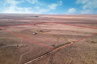 3900 Co Rd L, Wiggins, CO 80654 - Photo 1