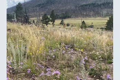 465 Mulligan Lane, Fort Garland, CO 81133 - Photo 1