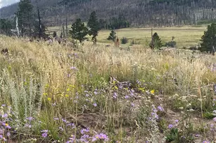 465 Mulligan Ln, Fort Garland, CO 81133 - Photo 1