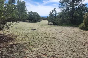 Tbd L 20th Trail, Cotopaxi, CO 81223 - Photo 1