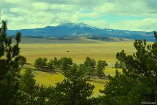 31180 Hwy 9, Hartsel, CO 80449 - Photo 1