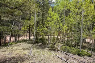 1058 Bennett Dr, Cripple Creek, CO 80813 - Photo 1