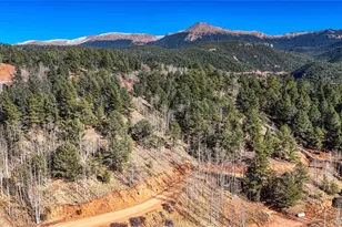 741 Pikes Peak Dr, Divide, CO 80814 - Photo 1