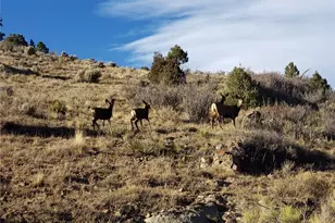 251 Floweree Dr, Fort Garland, CO 81133 - Photo 1