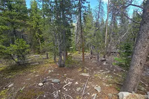 Alice Rd, Idaho Springs, CO 80444 - Photo 1
