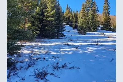 3553 River Drive, Alma, CO 80420 - Photo 1