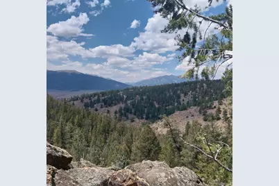 16417 Eleventh Hour, Twin Lakes, CO 81251 - Photo 1