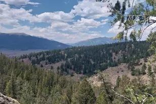 16417 Eleventh Hour, Twin Lakes, CO 81251 - Photo 1