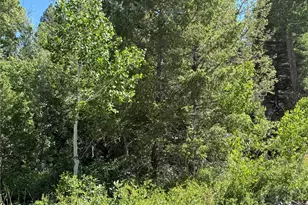 243 Mill Run, Alamosa, CO 81101 - Photo 1