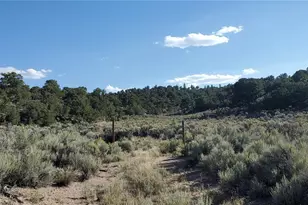 3989 Person Rd, Fort Garland, CO 81133 - Photo 1