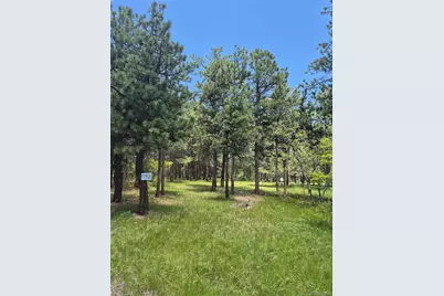 19420 Glen Cannon Way, Monument, CO 80132 - Photo 1
