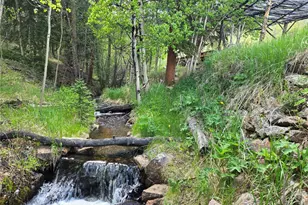 429 Rd P53, Bailey, CO 80421 - Photo 12