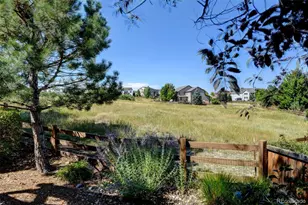 3325 Falling Star Pl, Castle Rock, CO 80108 - Photo 1