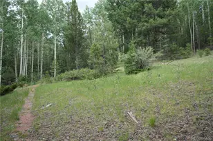 1406 Monarch Dr, Cripple Creek, CO 80813 - Photo 1