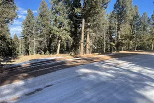 1873 N Mountain Estates Rd, Florissant, CO 80816 - Photo 1