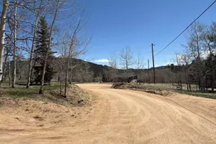 24 Timber Top Rd, Bailey, CO 80421 - Photo 1