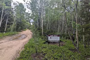 Tbd Roy Smith Rd, Central City, CO 80427 - Photo 1