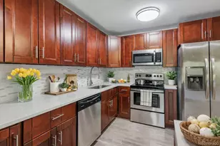 595 S Alton Way, Denver, CO 80247 - Photo 1