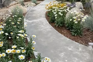 18202 Alta Vista Dr, Buena Vista, CO 81211 - Photo 8