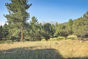 18202 Alta Vista Dr, Buena Vista, CO 81211 - Photo 44