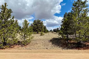 333 Jasper Way, Hartsel, CO 80449 - Photo 1