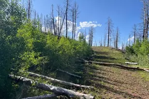 Lot 835 Slaoui Pl, Fort Garland, CO 81133 - Photo 1