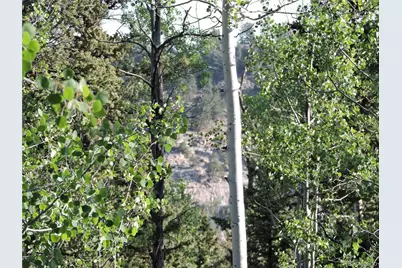 170 Buckskin Court, Como, CO 80432 - Photo 1